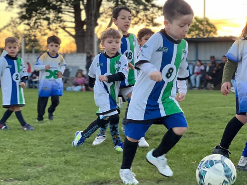 escuelita800x600 https://www.adcp.org.ar/wp-content/uploads/escuelita800x600.png